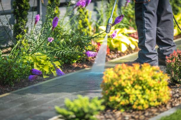 Best Pool Deck Cleaning in Putnam Lake, NY
